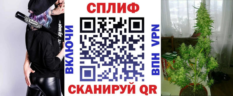Купить наркоту Губкин Кокаин  Меф  ГАШ 